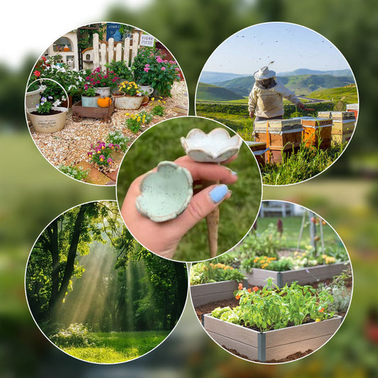 Bee Flower Feeding Cup