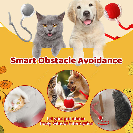 Smart Chasing Pet Toy Ball
