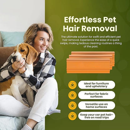 Hand-held Pet Hair Scraper