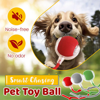 Smart Chasing Pet Toy Ball