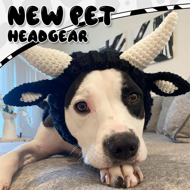 New Pet Headgear