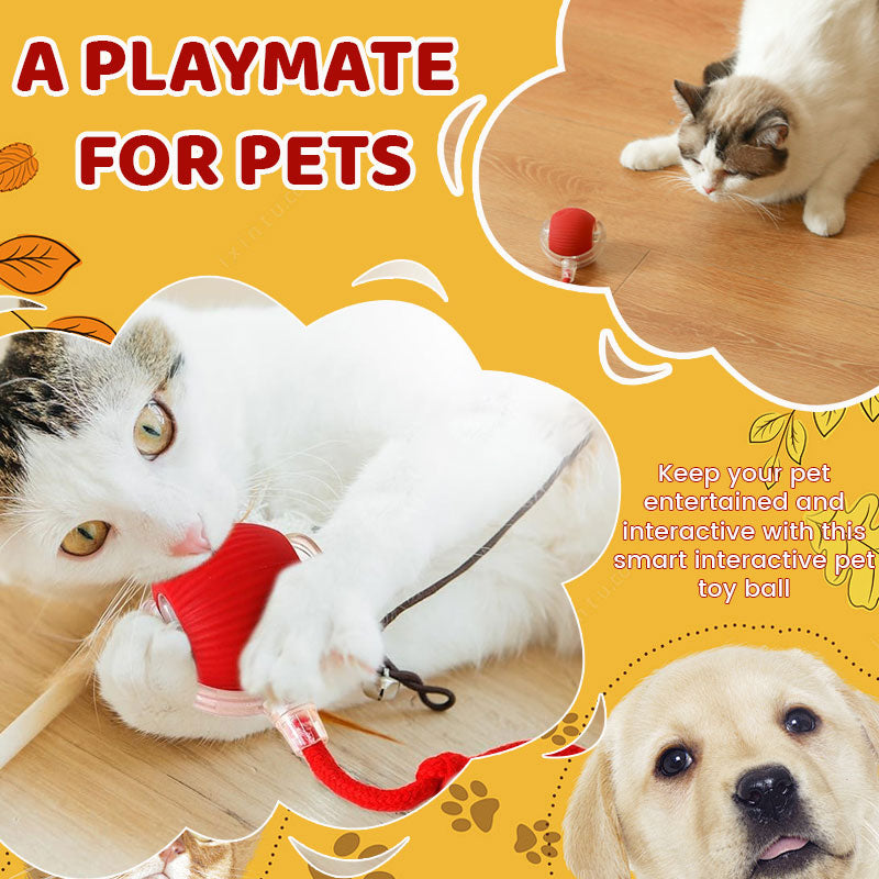 Smart Chasing Pet Toy Ball