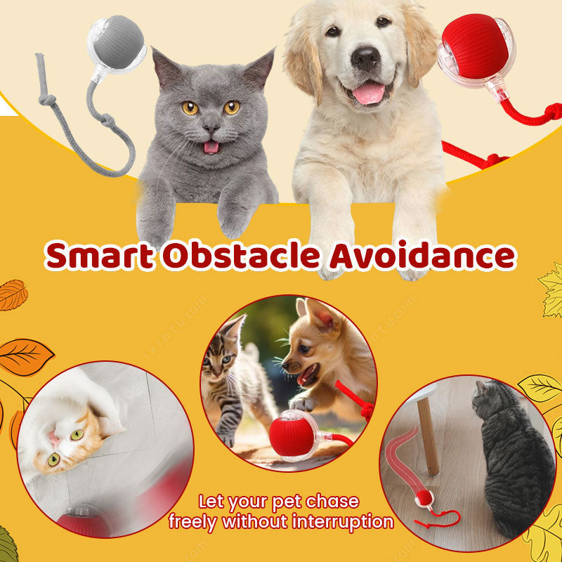 Smart Chasing Pet Toy Ball