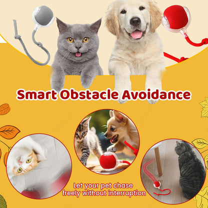 Smart Chasing Pet Toy Ball