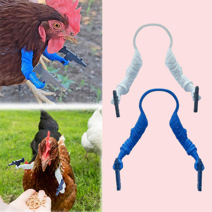 Special Forces Chicken Set