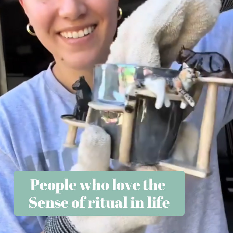 Kittens Around The Water Cup