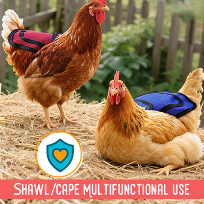 Special Forces Chicken Set