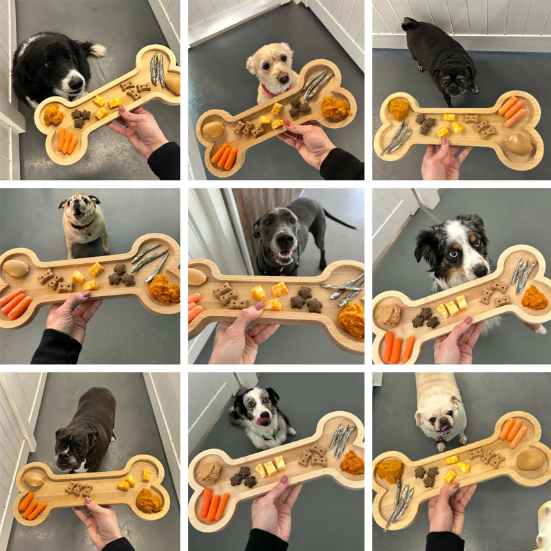 Bone Bamboo Dog Bowl