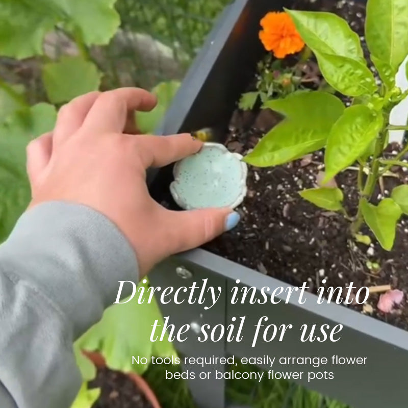 Bee Flower Feeding Cup