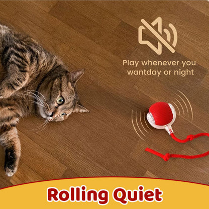 Smart Chasing Pet Toy Ball