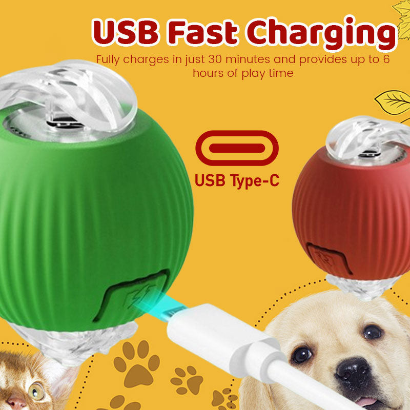 Smart Chasing Pet Toy Ball