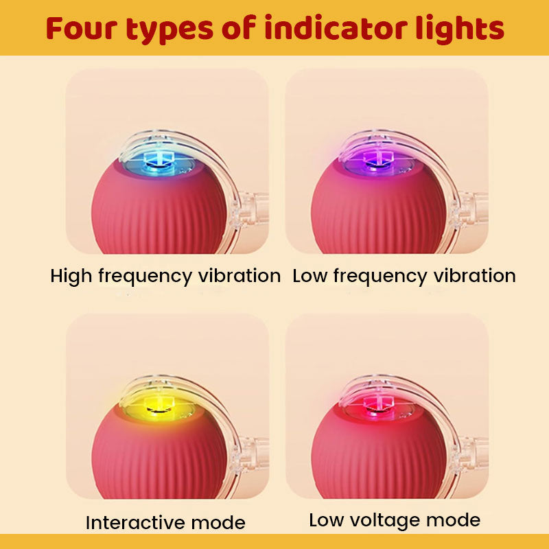 Smart Chasing Pet Toy Ball