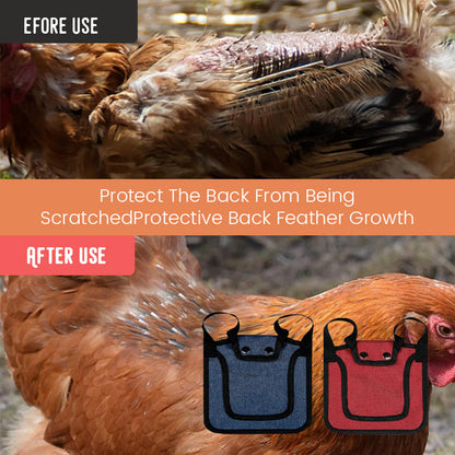 Special Forces Chicken Set