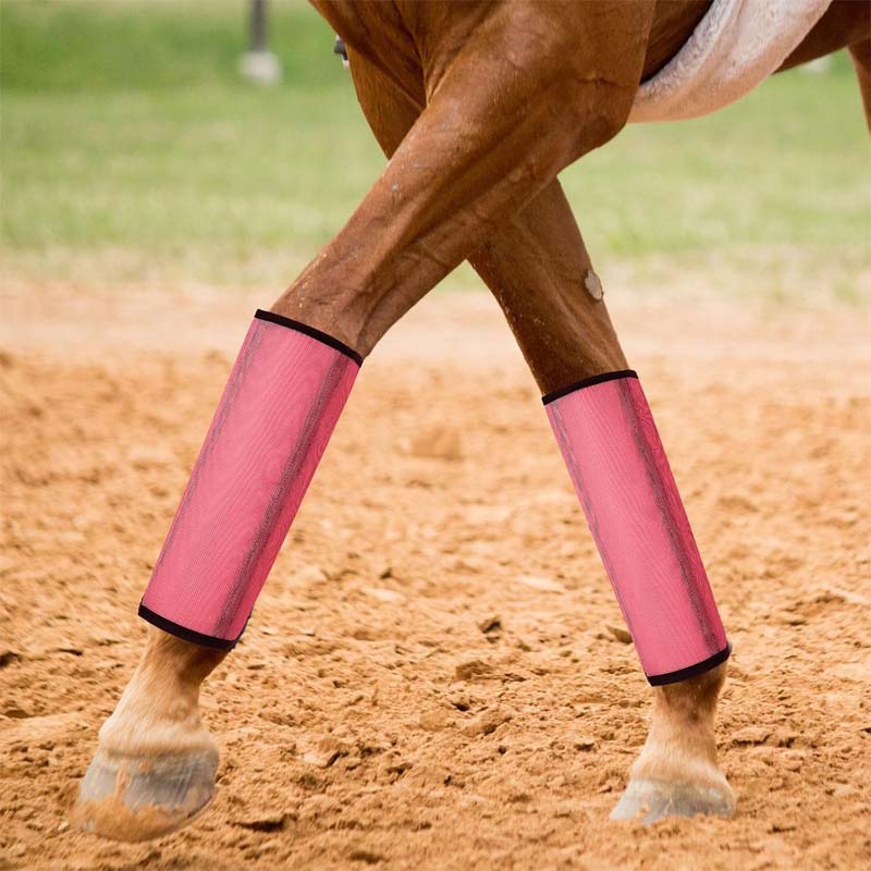 Breathable Mesh Horse Flyproof Leggings 🐎✨