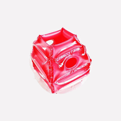 Fun Inflatable Bumper Ball