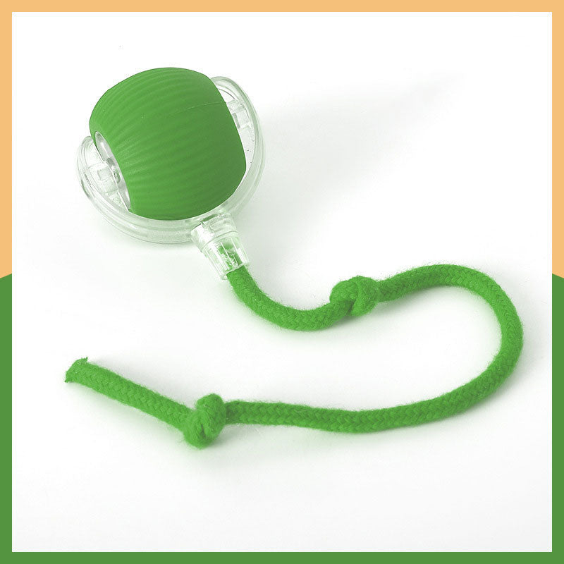 Smart Chasing Pet Toy Ball
