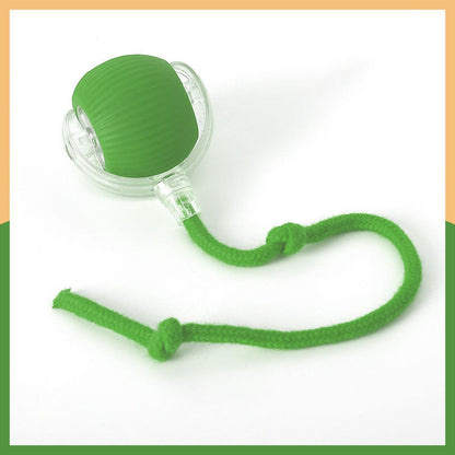 Smart Chasing Pet Toy Ball